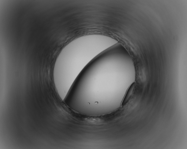 X0000088190512200705151002