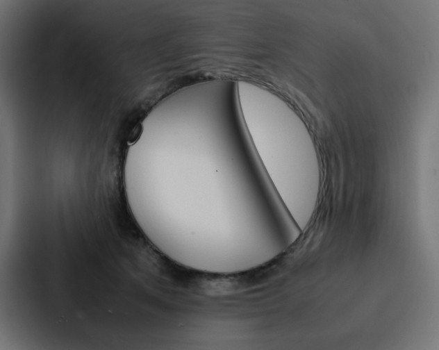 X0000088190513200705151002