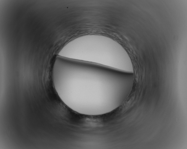 X0000088190515200705151002