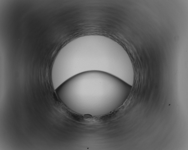 X0000088190516200705151002
