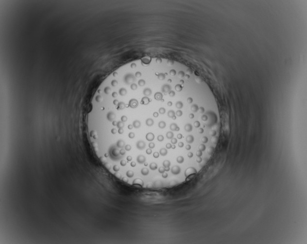X0000088190519200705151002