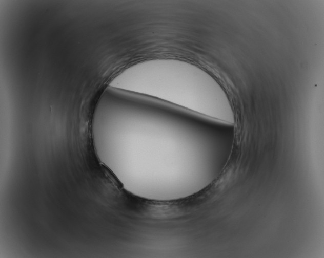 X0000088190521200705151002