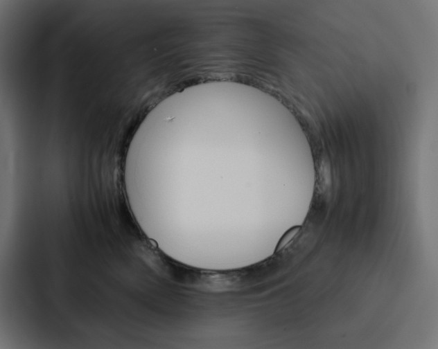 X0000088190522200705151002