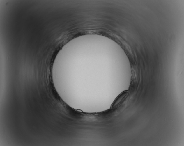 X0000088190523200705151002