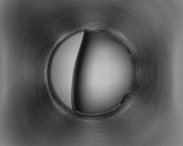 X0000088190530200705151001