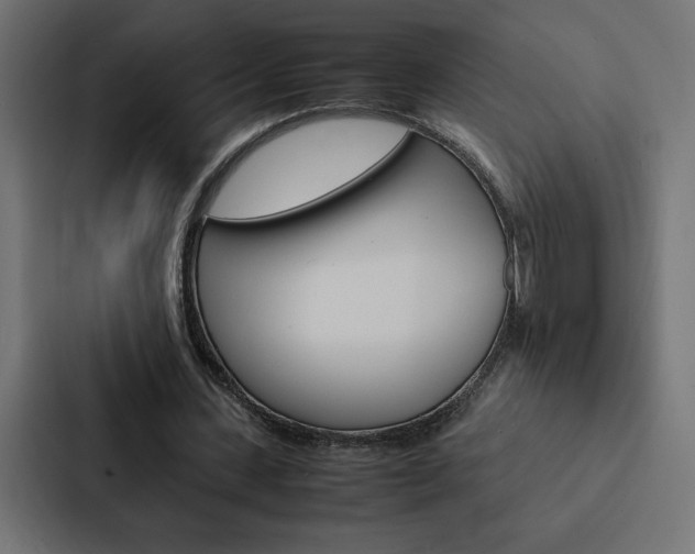 X0000088190531200705151001