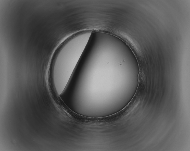 X0000088190532200705151001