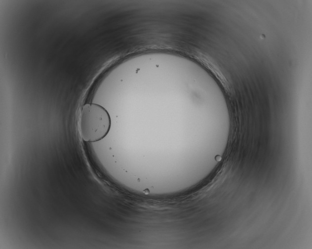 X0000088190534200705151001