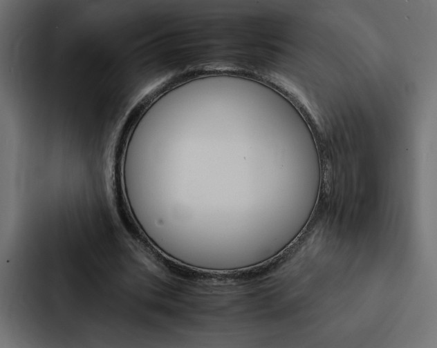 X0000088190535200705151001
