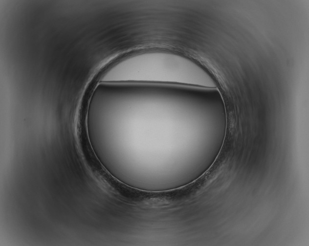 X0000088190536200705151001