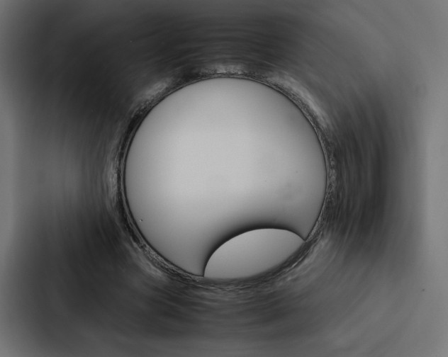 X0000088190537200705151001
