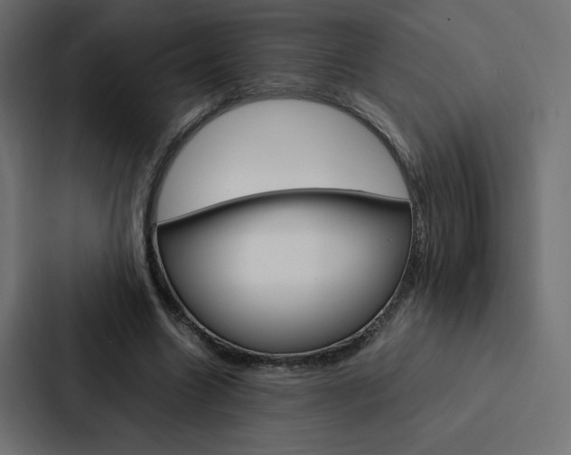 X0000088190538200705151001
