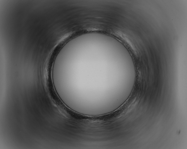 X0000088190539200705151001