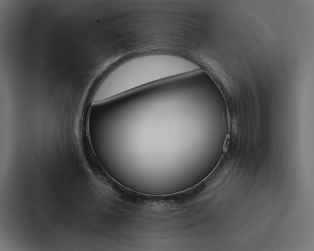 X0000088190540200705151001