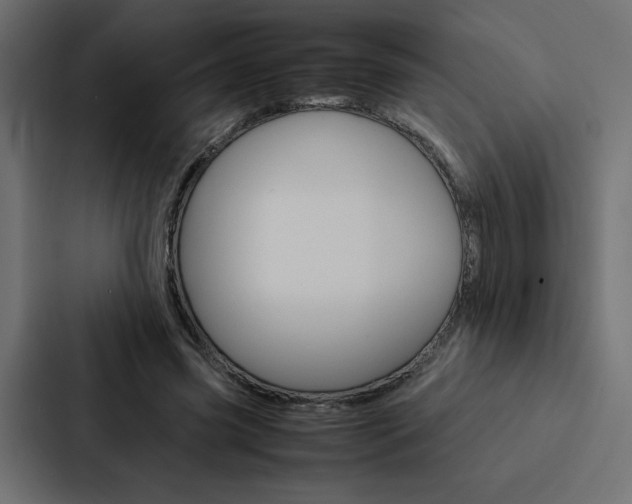 X0000088190541200705151001