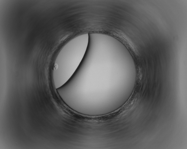 X0000088190542200705151001