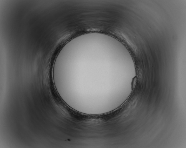 X0000088190543200705151001