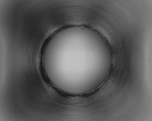 X0000088190544200705151001