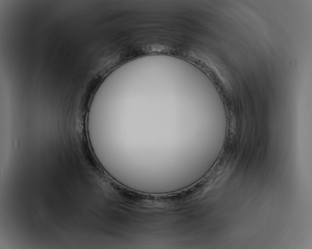 X0000088190545200705151001