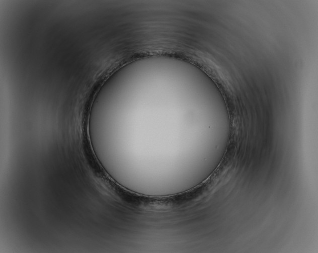 X0000088190546200705151001