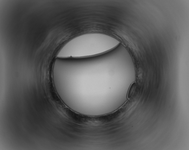 X0000088190547200705151001