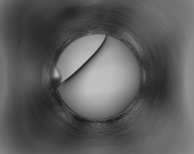 X0000088190549200705151001