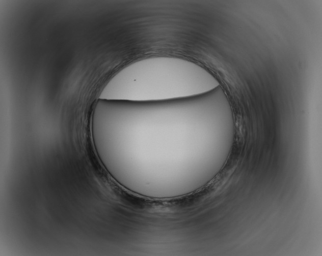 X0000088190550200705151001