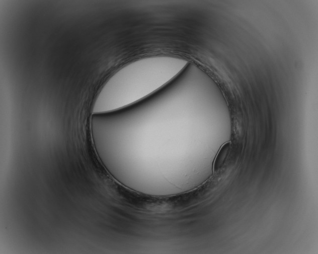 X0000088190551200705151001