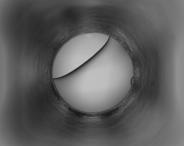X0000088190553200705151001