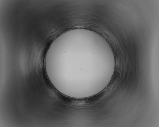 X0000088190554200705151001