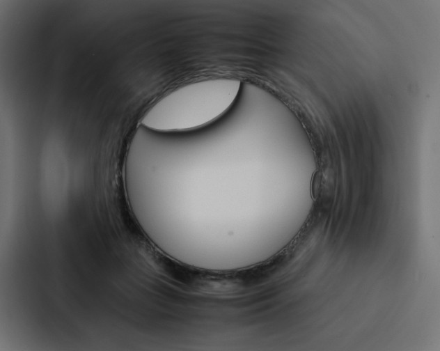 X0000088190555200705151001