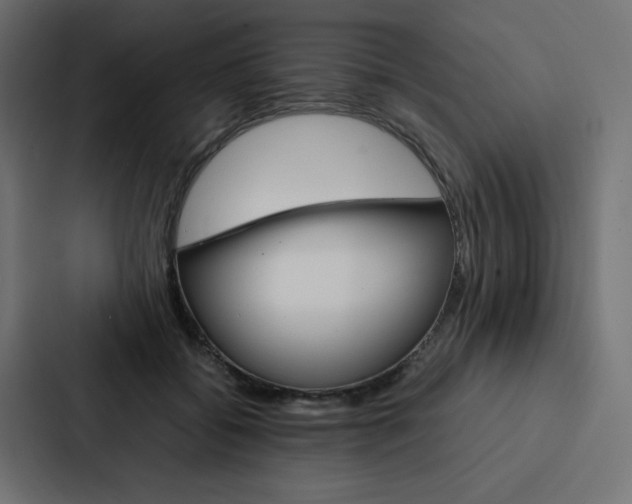 X0000088190556200705151001
