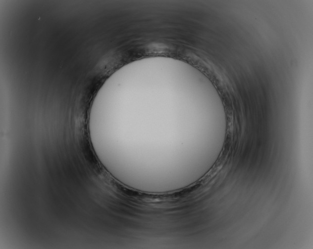 X0000088190557200705151001