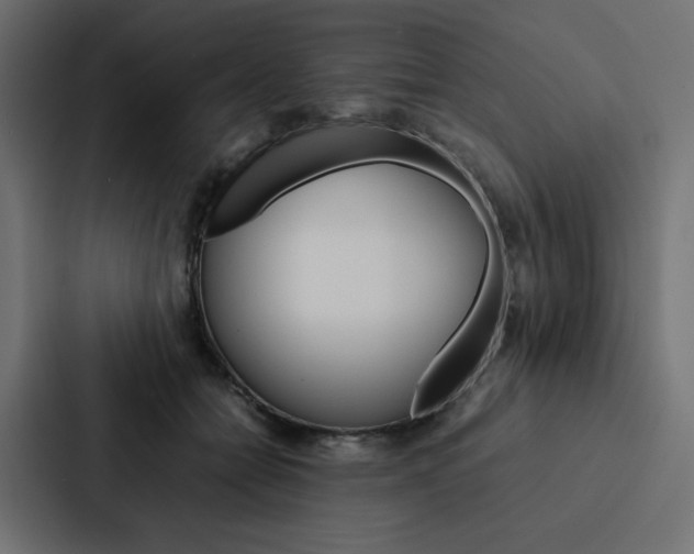 X0000088190558200705151001
