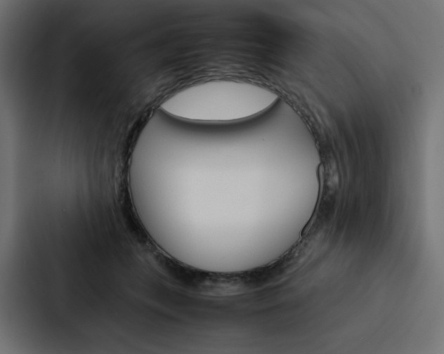 X0000088190559200705151001