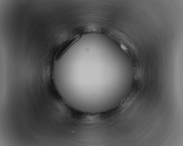 X0000088190560200705151001
