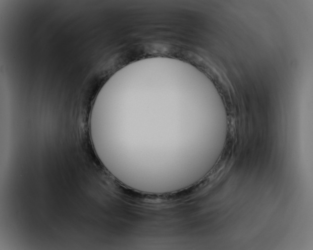 X0000088190561200705151001