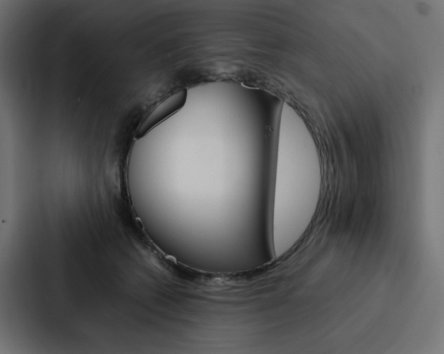 X0000088190562200705151001