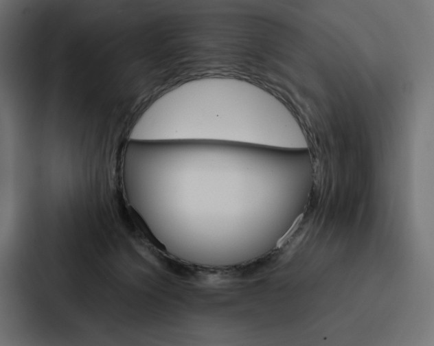X0000088190564200705151001