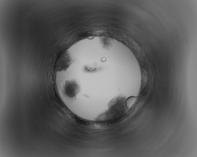 X0000088190565200705151001