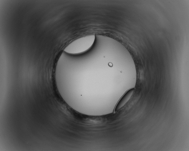 X0000088190567200705151001