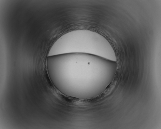 X0000088190568200705151001