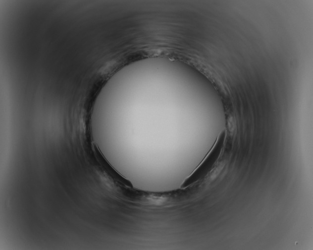 X0000088190570200705151002
