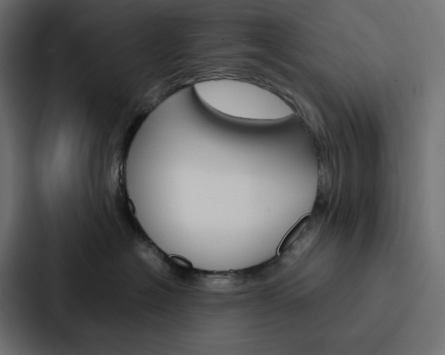 X0000088190574200705151002