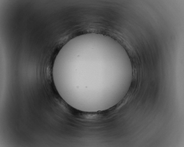 X0000088190575200705151002