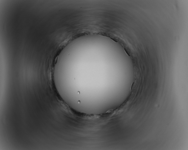 X0000088190576200705151002