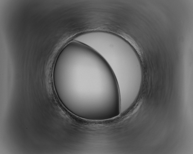 X0000088190577200705151001