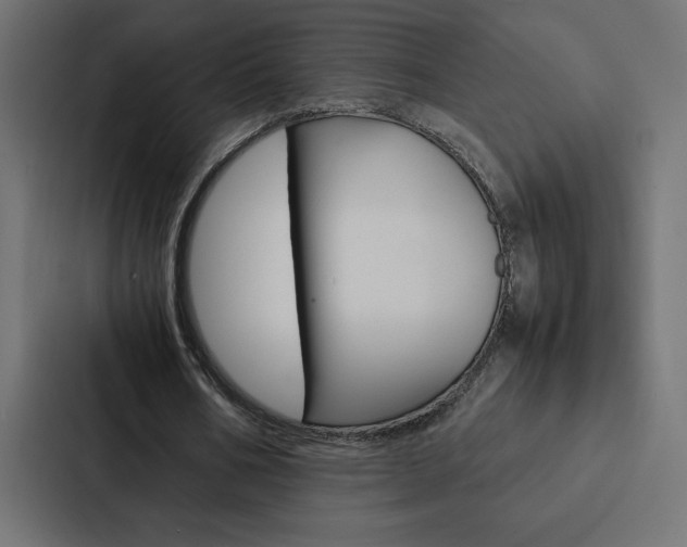 X0000088190578200705151001