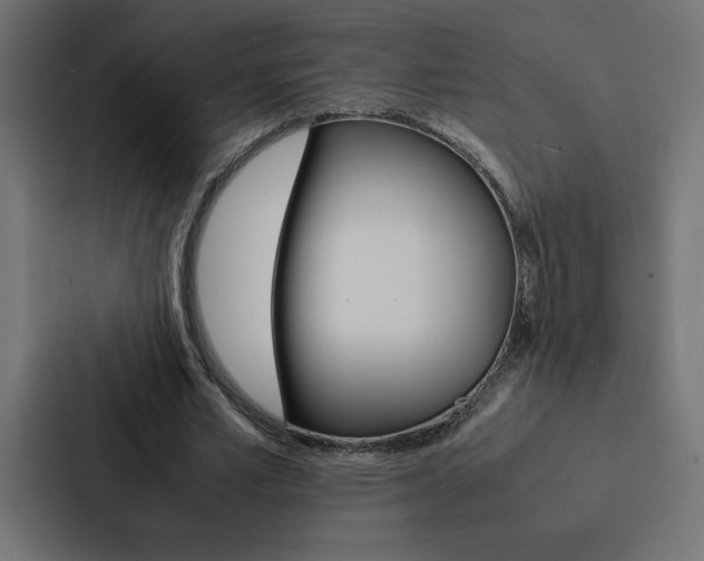 X0000088190581200705151001