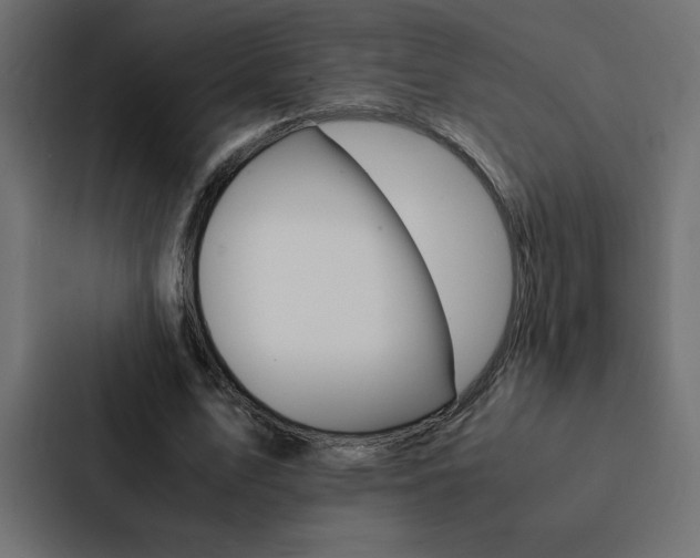 X0000088190583200705151001